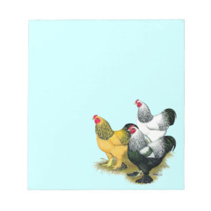 Brahmas Three Roosters Notizblock