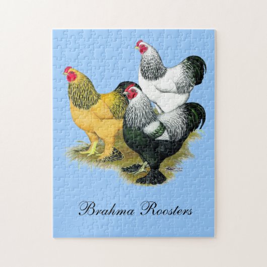 Brahmas Three Roosters Puzzle (Vertikal)