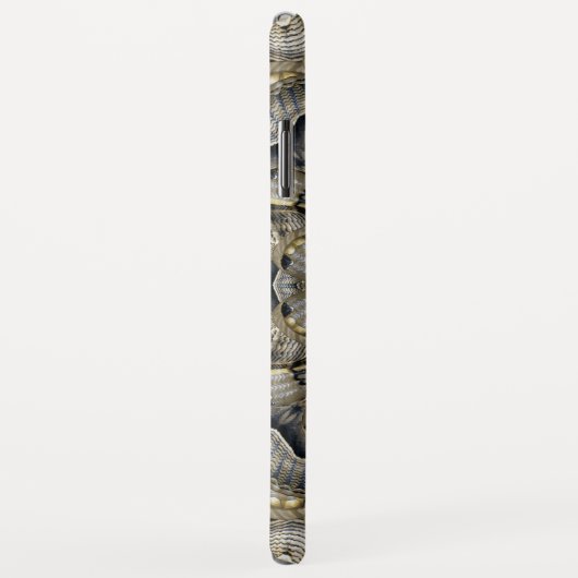 Brahmin-Motte Case-Mate iPhone Hülle (Hinten/Rechts)