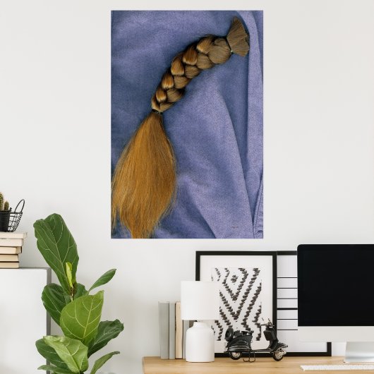 Braid Poster (Heimbüro)