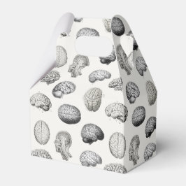 Brain Anatomy Biology Illustrations Geschenkschachtel
