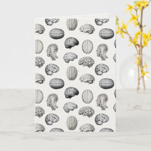 Brain Anatomy Biology Illustrations Karte (Gelbe Blume)