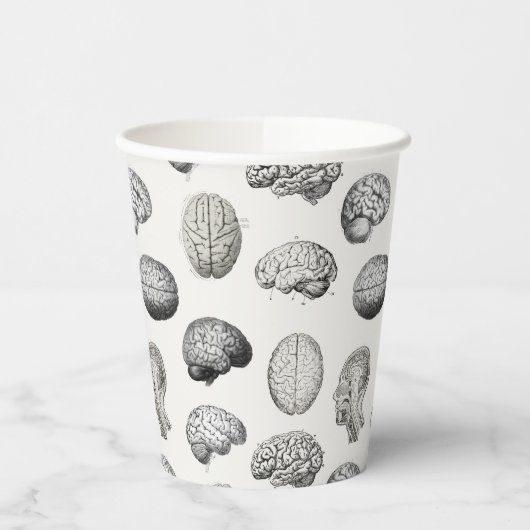 Brain Anatomy Biology Illustrations Pappbecher (Links)