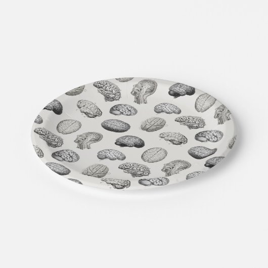 Brain Anatomy Biology Illustrations Pappteller (Schrägansicht)