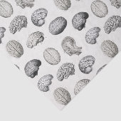 Brain Anatomy Biology Illustrations Seidenpapier (Ausschnitt)