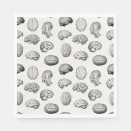 Brain Anatomy Biology Illustrations Serviette