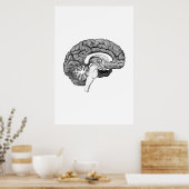 Brain Anatomy Illustration Poster (Küche)
