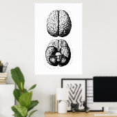Brain Anatomy Illustration Poster (Heimbüro)
