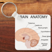 Brain anatomy schlüsselanhänger (Vorderseite)