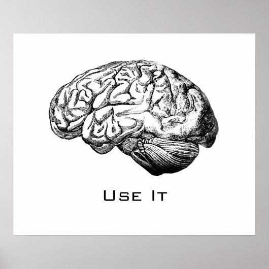 Brain Anatomy - Use It Poster (Vorne)