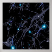 Brain cells. Neurons Poster (Vorne)