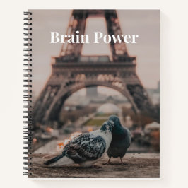 Brain Power Buch