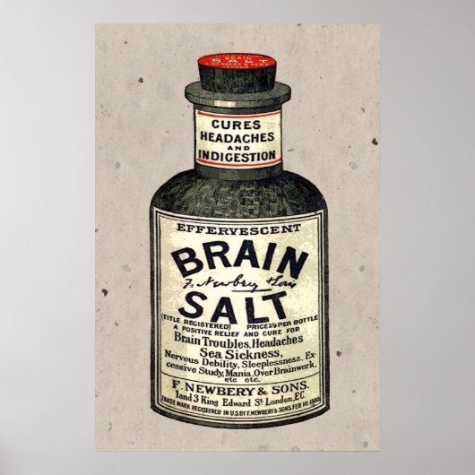 Brain Salt Poster (Vorne)