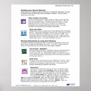 Brainology® Plakat 6: Gebäude Ihr neurales Netz