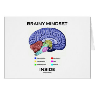 Brainy Denkrichtung-Innere (anatomisches Gehirn)
