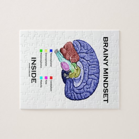 Brainy Denkrichtung-Innere (anatomisches Gehirn) Puzzle (Horizontal)