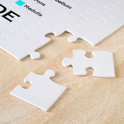 Brainy Denkrichtung-Innere (anatomisches Gehirn) Puzzle (Seite)