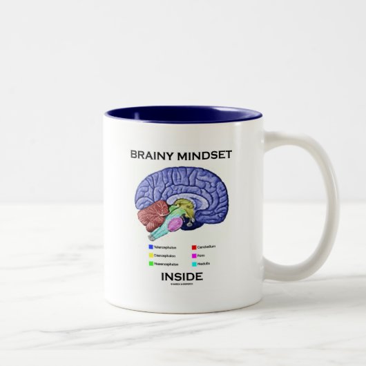 Brainy Denkrichtung-Innere (anatomisches Gehirn) Zweifarbige Tasse (Rechts)