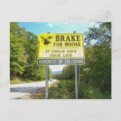 Brake for Moose Kancamagus Highway New Hampshire Postkarte (Vorderseite)