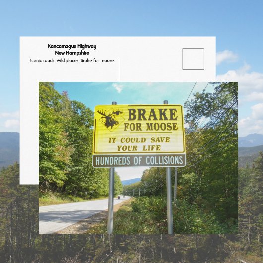 Brake for Moose Kancamagus Highway New Hampshire Postkarte