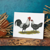 Brakel Chickens Fotoplatte (Seite)