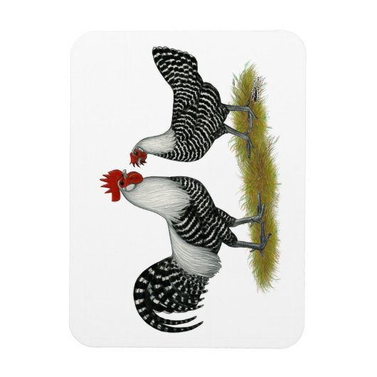 Brakel Chickens Magnet (Vertikal)