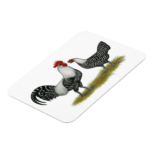 Brakel Chickens Magnet (Linke Seite)