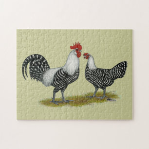 Brakel Chickens Puzzle