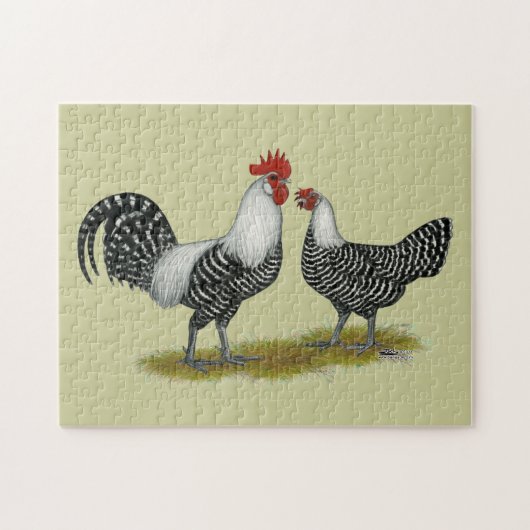 Brakel Chickens Puzzle (Horizontal)