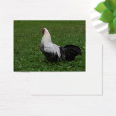 Brakel Hahn (Schreibtisch)