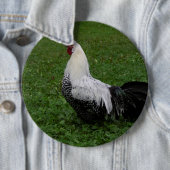 Brakel Hahn Button (Beispiel)