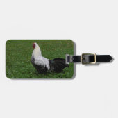 Brakel Hahn Gepäckanhänger (Vorderseite horizontal)