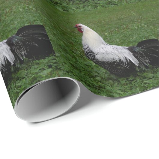 Brakel Hahn Geschenkpapier (Rolleneckpunkt)