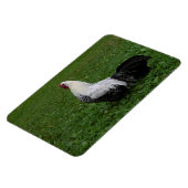 Brakel Hahn Magnet (Linke Seite)