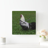 Brakel Hahn Quadratische Wanduhr (Zuhause)