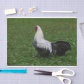 Brakel Hahn Seidenpapier (Handwerk)