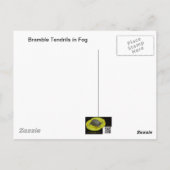 Bramble Tendrils im Nebel - Minimalismus Postkarte (Rückseite)