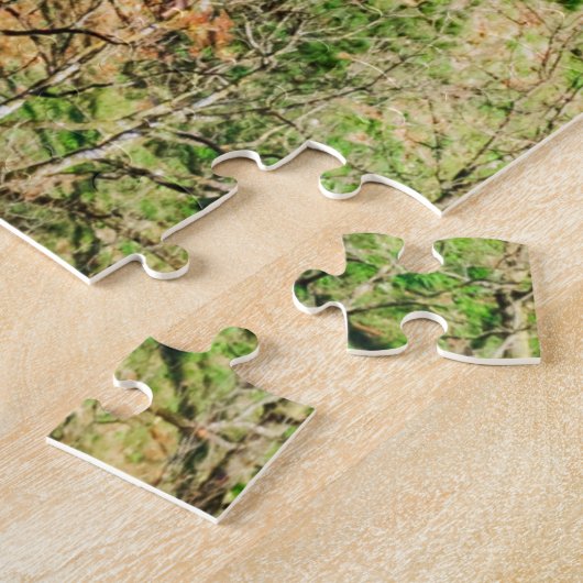 Bran Castle Puzzle (Seite)