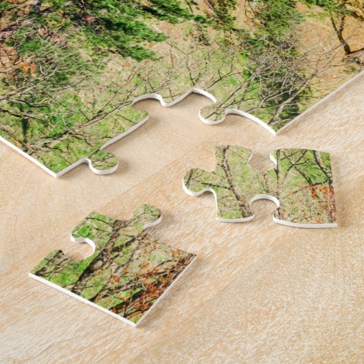 Bran Castle Puzzle (Seite)