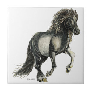 Brana, das kantierende isländische Pferd Fliese