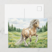 Brana Pinto Palomino Icelandic Watercolor Postkarte (Vorne/Hinten)