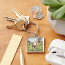 Brana Pinto Palomino Icelandic Watercolor