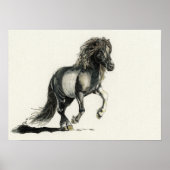 Brana Poster (Vorne)