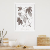 Branch Cotton Pflanze - Branche de Cotonou Poster (Küche)