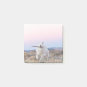 Branch Manager - 3"x3" Post-it-Notizen Post-it Klebezettel