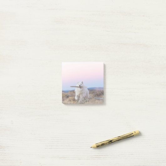 Branch Manager - 3"x3" Post-it-Notizen Post-it Klebezettel (Auf Schreibtisch)