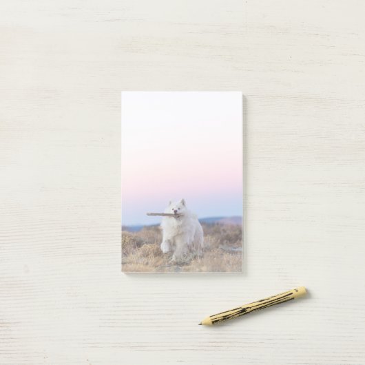 Branch Manager 4"x6" Post-it-Notizen Post-it Klebezettel (Auf Schreibtisch)