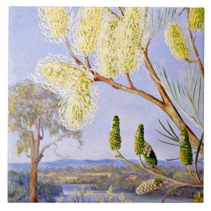 Branch of a Grevillea and View on the Swan River Fliese
