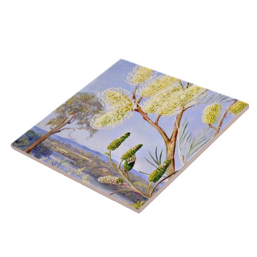 Branch of a Grevillea and View on the Swan River Fliese (Seite)