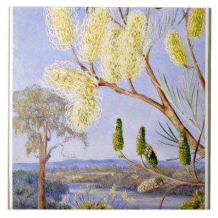 Branch of a Grevillea and View on the Swan River Fliese